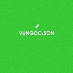 Profile Picture of Đinh Trường Tùng (@vungocsonofficial) on Instagram