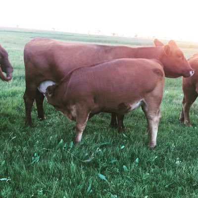 Profile Picture of Tyler Dalzell (@DalzellTyler) on Twitter