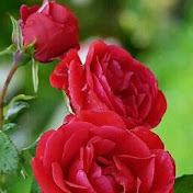 Profile Picture of Anupam Sood (@anupamsood67) on Youtube