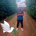 Profile Picture of Manfred Kingi (@Manfred-Kingi) on Facebook