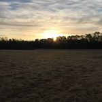 Profile Picture of David Cotton (@cotton0521) on Instagram