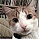 Profile Picture of Richard Morgan (@avalanche72) on Flickr