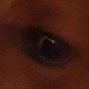 Profile Picture of SEAN TRUE MOVIE FAN. (@seantruemoviefan.1176) on Youtube