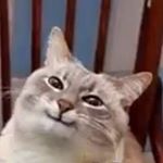 Profile Picture of Michael Sauro (@mr_doctor_professor_patrik) on Instagram