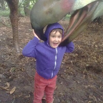 Profile Picture of MG Builders Ltd (@markstebbings1) on Twitter