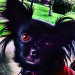Profile Picture of leah wheeler (@tictoc_tictoc_clock) on Instagram