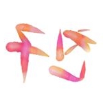 Profile Picture of ChinGu친구=朋友👫👭👬 (@chingu.kr) on Instagram