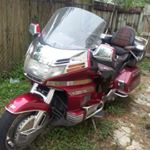 Profile Picture of Chris Wozny (@woznychris) on Instagram