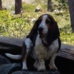 Profile Picture of Kevin Sommerfeld (@sommerfeld.kevin) on Instagram