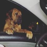 Profile Picture of william stamper (@william.stamper) on Instagram