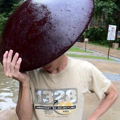 Liew Yee Hing - Twitter Profile Picture of Liew Yee Hing (@LiewYeeHing) on Twitter