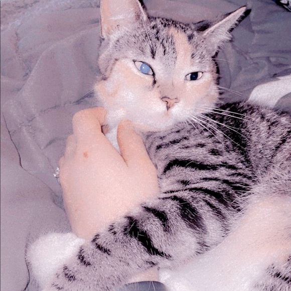 Profile Picture of Destine Sidelinger (@d_sidelinger) on Poshmark