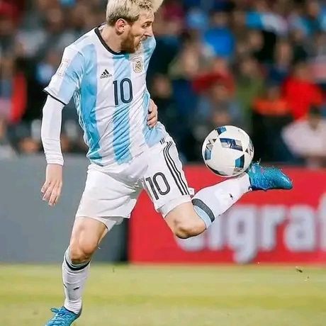 Profile Picture of petercaper (@peterceper) on Tiktok