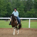 Profile Picture of Justine Roberts (@j.l.r.equestrian) on Instagram