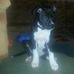 Profile Picture of Casey Endicott (@casey.endicott.54) on Facebook