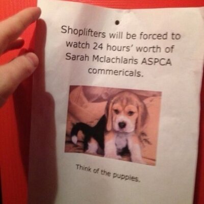 Profile Picture of Brendan Rocco (@Bkrevolations) on Twitter