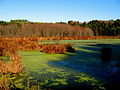 Profile Picture of Frances Slocum State Park - Wikipediaon Wikipedia