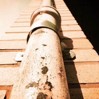 Profile Picture of Tamika Anne Walker (@mika070698) on Twitter