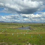 Profile Picture of Lance Lloyd (@lancelloyd) on Flickr