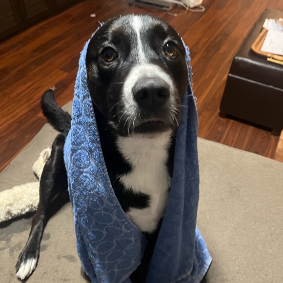 Profile Picture of Lillie Richerson (@lillieunion) on Poshmark