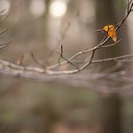 Tanner Neal - Instagram Profile Picture of Tanner Neal (@tannerneal) on Instagram