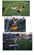 Profile Picture of Pole vault - Wikipediaon Wikipedia