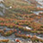 Profile Picture of Mario Alva (@mario alva) on Flickr