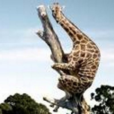 Profile Picture of Fejes Dávid (@dfejes6) on Twitter