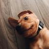 Profile Picture of Michael Giles (@@lil_mikey08) on Tiktok