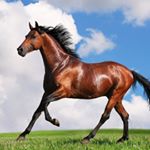 Profile Picture of jonna_allen_ (@jonna_allen_) on Instagram