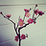 Profile Picture of Tabitha Snyder (@Tabitha Tara Tyler Snyder) on Flickr