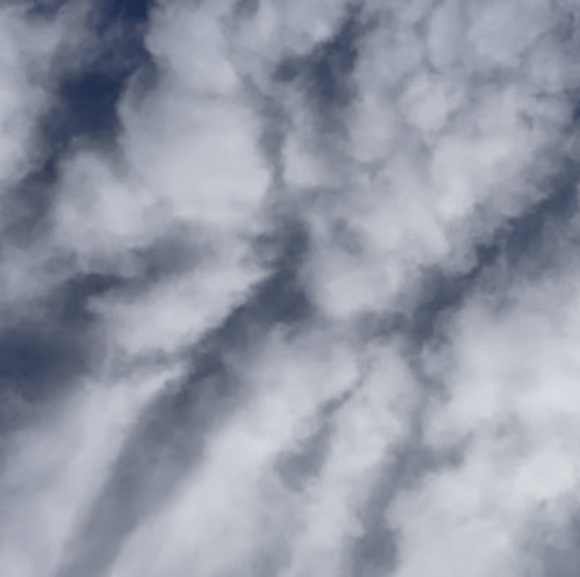 Profile Picture of Ayla Cantos (@aylacantos) on Poshmark