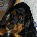 Profile Picture of Alexander Klug (@dusty__2202) on Instagram