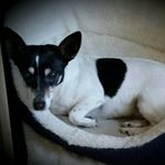 Profile Picture of Michael G. Cardarelli Jr. (@mgcardarelli) on Instagram