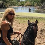 Profile Picture of Cathy Nielsen (@lovemyhorses777) on Instagram