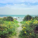 issei matsuzawa - Instagram Profile Picture of issei matsuzawa (@issei.matsuzawa) on Instagram