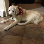 Profile Picture of Vicki Bricker (@vbrownbricker789) on Instagram