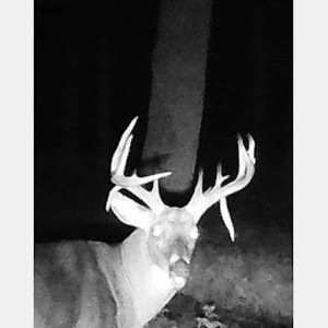 clintfountain5 - Tiktok Profile Picture of clintfountain5 (@clintfountain5) on Tiktok