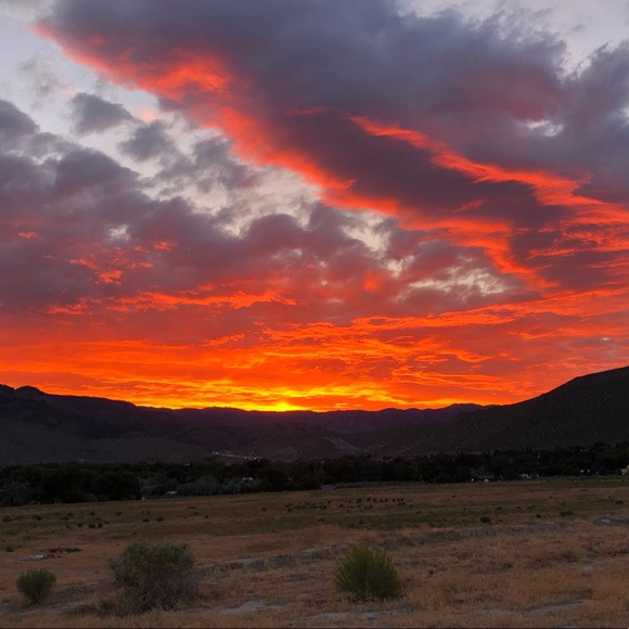 Profile Picture of Tiffany Froines (@tfro82) on Poshmark