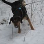 Profile Picture of Thomas Hanauer (@thanauer) on Instagram