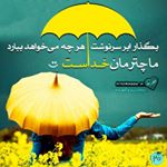 Profile Picture of sheyda yazdani (@yazdanisheyda) on Instagram