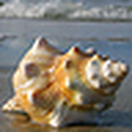 Profile Picture of Larry And Lisa Barker (@larry and lisa) on Flickr