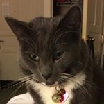 Profile Picture of Jamie Zucker (@jdzucker) on Instagram