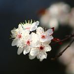 Profile Picture of Coby Edwards (@coby.photography) on Instagram