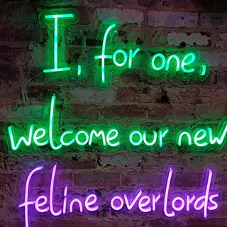 Profile Picture of Miriam Maynard (@Miriam-Maynard) on Facebook