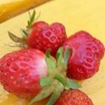 Profile Picture of Randi.S. Thomassen (@randi.s.thomassen) on Instagram