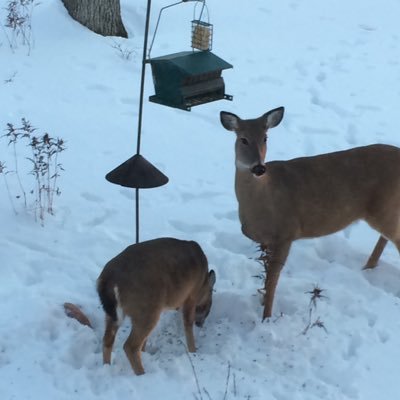 Profile Picture of Sheila Casey (@SheilaCasey14) on Twitter