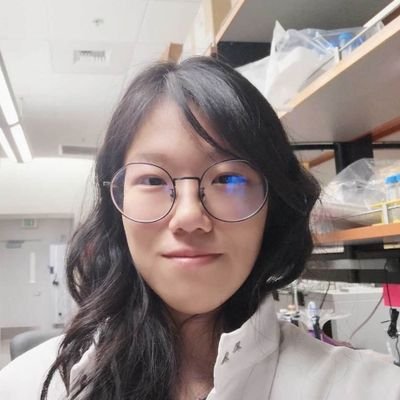 Profile Picture of Qing Zhao (@QingSunnyZhao) on Twitter
