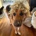 Profile Picture of Tim Bean (@tim.bean.98499) on Facebook