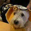 Profile Picture of stevenbunick (@stevenbunick) on Tiktok